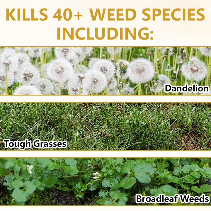 🏆 Official Store |Timilk® Pro Strength 2-in-1 Herbicide: Fast Acting Results on Glyphosate-Resistant Weeds