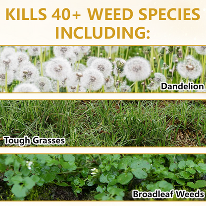 🏆 Official Store |Timilk® Pro Strength 2-in-1 Herbicide: Fast Acting Results on Glyphosate-Resistant Weeds